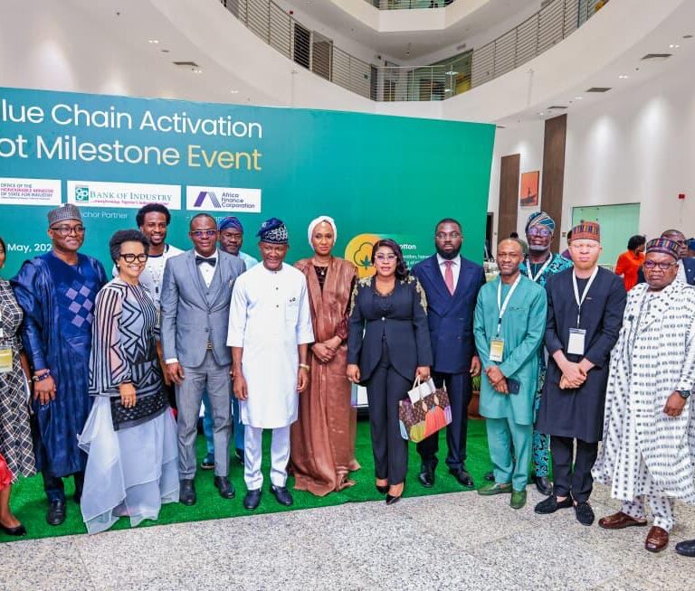 Nigeria’s Cotton, Textile and Garment Transformation Programme Gains Momentum
